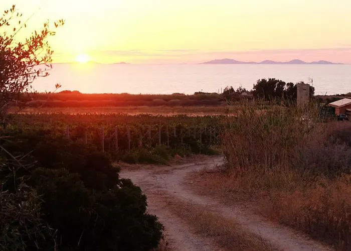 Roccabianca 索尔索