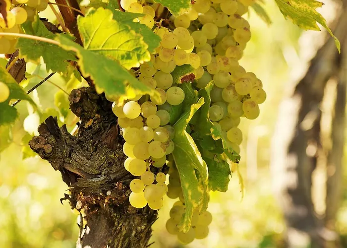 Nyaraló Roccabianca